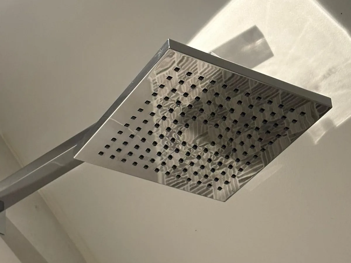 Shower head after cleaning
