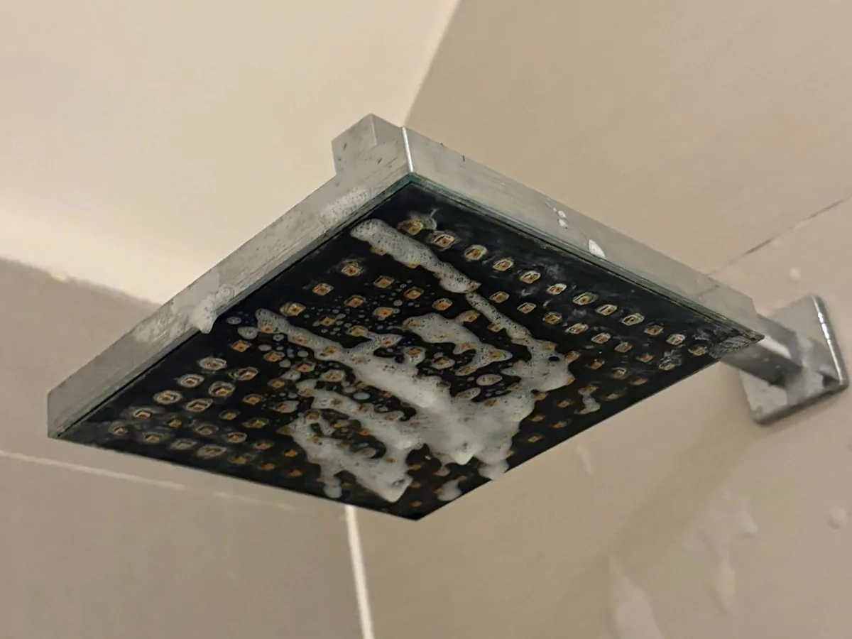 Shower head before cleaning